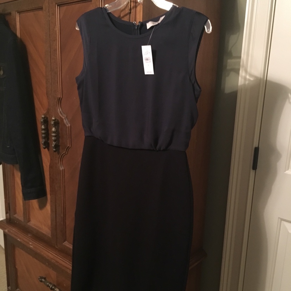 NWT Loft Dress